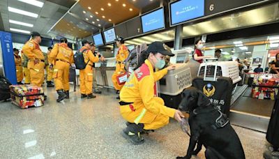 搜救犬集合！消防署人道救援包機演練 美日觀摩給建議