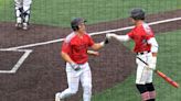 Fairview tops Burrell 7-3 in PIAA 3A state first round