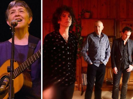 Folk musicians and snooker star performing at new arts festival near Salisbury