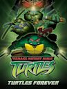 Teenage Mutant Ninja Turtles: Turtles Forever