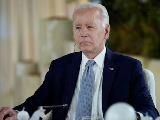 Foreign Leaders Are Worried About Biden's Decline: Report