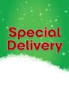 Special Delivery (2000 film)