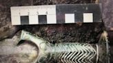 3,000-year-old sword unearthed at German burial site in gleaming condition
