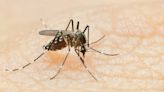 Cuyahoga, Geauga, Lorain counties to receive state funds for mosquito control