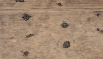Avanço do desmatamento e da irrigação de lavouras faz minguar rios do cerrado...avanço do desmatamento no berço das águas do Brasil - mundo - Folha de S.Paulo - Ambiente...
