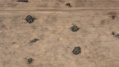 Avanço do desmatamento e da irrigação de lavouras faz minguar rios do cerrado | Cerrado loteado, O avanço do desmatamento no berço das águas do Brasil - mundo - Folha de S.Paulo - Ambiente - Folha de...