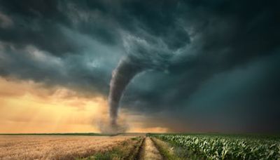 Twisters follows a superstar storm chaser – obsession with extreme weather has a deep underlying psychology