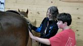 Stirrup Courage combines owner's passion, expertise for unique therapeutic experience