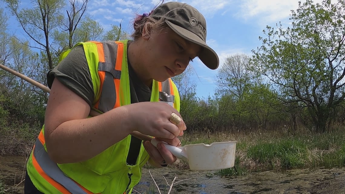 First big batch of mosquitos could start hatching as early as this weekend