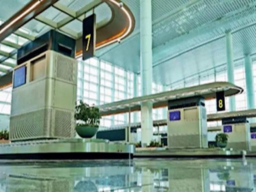 Technical Study of Delhi Airport's Terminal 1 Expected to be Completed in a Month | Delhi News - Times of India