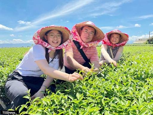 松嶺茶鄉體驗營報名 參山處邀大家來當一日製茶師