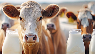 Raw milk is a trend, but health officials say it's a dangerous one