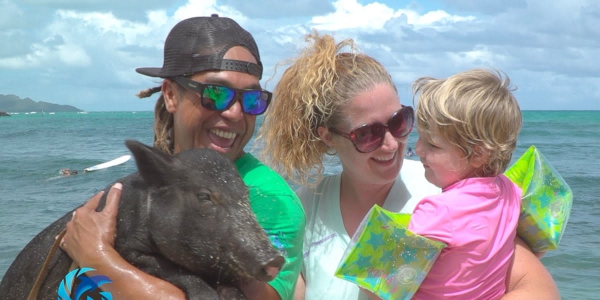 How a surfing pig in Hawaii changed the trajectory of a young cancer patient’s life