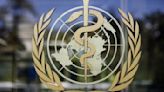 Tras más de dos años de negociaciones, fracasa en la elaboración de tratado mundial de lucha contra pandemias | El Universal