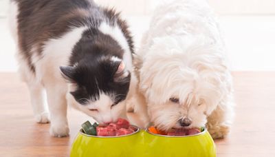 ¿Son las dietas naturales como la BARF un peligro para las mascotas?