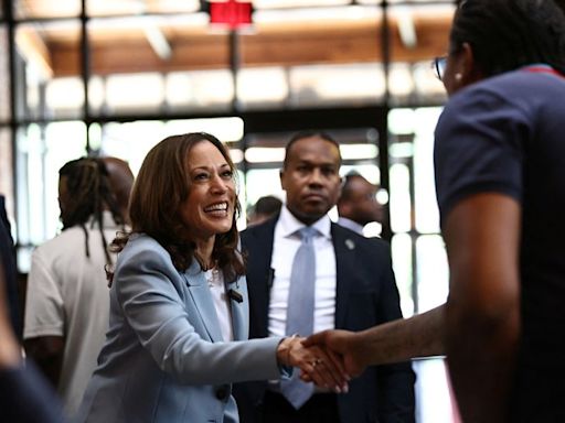 Harris gaining ground on Trump in 6 of 7 swing states, Bloomberg poll shows