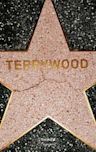 Terry Richardson: Terrywood