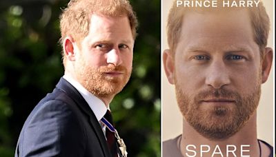 EPHRAIM HARDCASTLE: What next for Prince Harry after Spare?