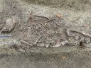 Medieval child ‘vampire burial’ exhumed near Polish cathedral