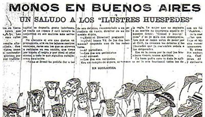 Fútbol, Brasil y más de un siglo de episodios racistas