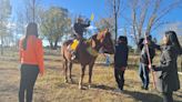 Piden ayuda para refugiar a tres caballos en Choele Choel que hacen terapias con niños - Diario Río Negro