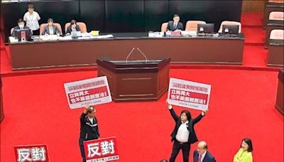 立院決議邀賴總統國情報告 府：釋憲裁判前不宜採取行動