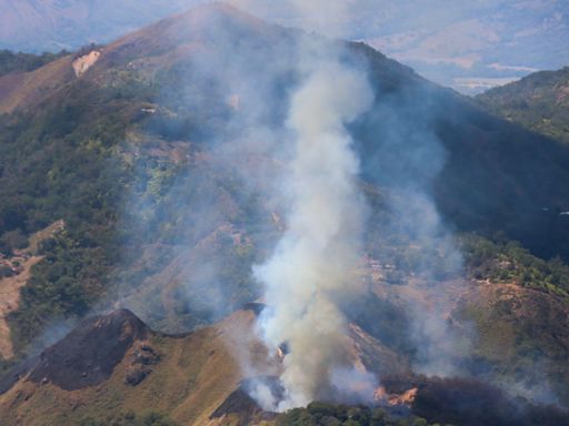 El fuego arrasa más de 12.000 hectáreas de bosques en Colombia, que lidia con 20 incendios