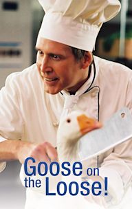 Goose on the Loose!