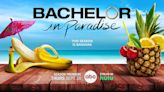 'Bachelor in Paradise' Season 9 Cast Revealed: Rachel Recchia, Blake Moynes and More Are Heading to the Beach