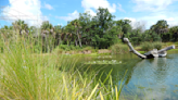 How is water quality in your backyard pond?