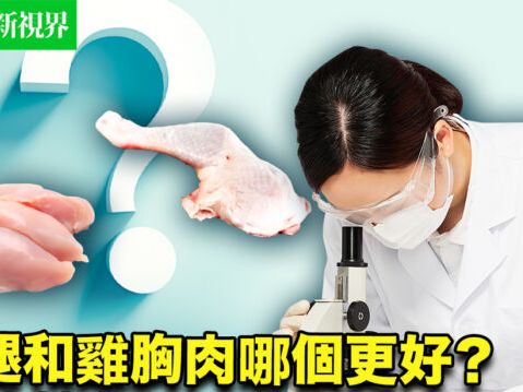 雞腿和雞胸肉哪個更好？聽聽營養師怎麼說 | 健康新視界 | 雞肉 | 食品 | 大紀元