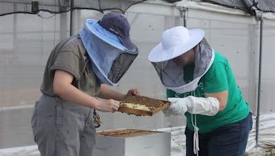 Who might BEE moving onto Georgia Southern’s Armstrong Campus?