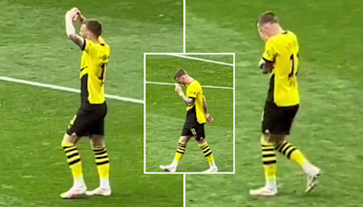 Marco Reus was overcome with emotion after scoring in front of the Borussia Dortmund fans