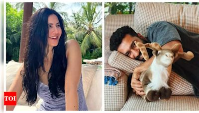 Katrina Kaif turns photographer for husband Vicky Kaushal as they spend a 'lazy Sunday' together - See inside | - Times of India