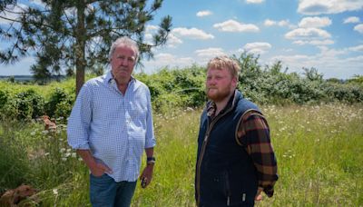 Clarkson says ‘something is afoot’ as butterfly sightings plummet