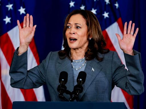 Kamala Harris, la favorita para sustituir a Biden como candidata: ¿cuáles son sus credenciales? - El Diario NY