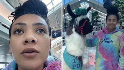 Woman nearly misses flight at airport for very important reason—llamas