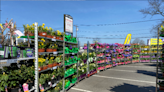 Outdoor garden centers popping up at Lidl stores in Delaware, Pennsylvania and New Jersey