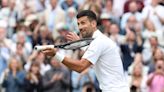 Novak Djokovic is one win from Federer's Wimbledon record - and dethroning its favourite son