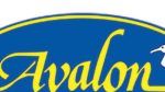 I watched that game between the Indiana Fever and the Chicago sky, no way was that not a flagrant foul to try and take out the best player who by the way is beating you all over the court, dribbling... - Cape May County Herald