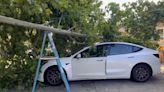 Video shows ‘impressive’ Tesla feature in light of major disaster: ‘The car seems to be doing fairly [all right]’