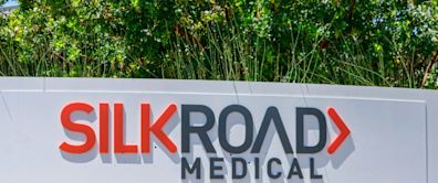 Boston Scientific spends $1.26bn to acquire TCAR specialist Silk Road Medical