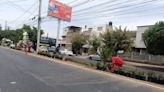 Plantan 8 mil bugambilias en paseo Carranza de San Luis Potosí