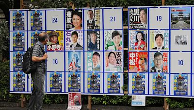 'We have to be wacky.' With suggestive poses and pets, election campaigning tests Tokyo's patience