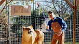 No more Tiger Kings, cub-petting: Big Cat Public Safety Act passes in U.S. Senate