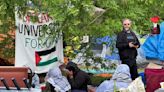 Police dismantle pro-Palestinian camp at Wayne State University in Detroit