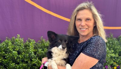 Westminster dog show has its first mixed-breed agility winner, and her name is Nimble