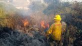 Tres incendios forestales afectan a Naucalpan