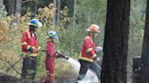 Firefighters have wildfire in south Nanaimo under control