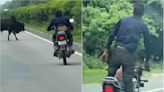 Viral VIDEO: Man Performs Dangerous Stunts, Dodges Bull On Speeding Bike With Kid In UP’s Sitapur